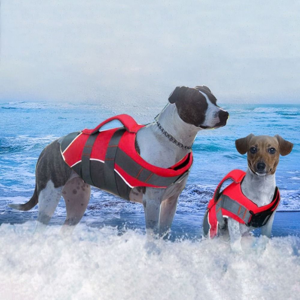 Dog Life Jacket - سترة نجاة عاكسة للكلاب قابلة للتعديل