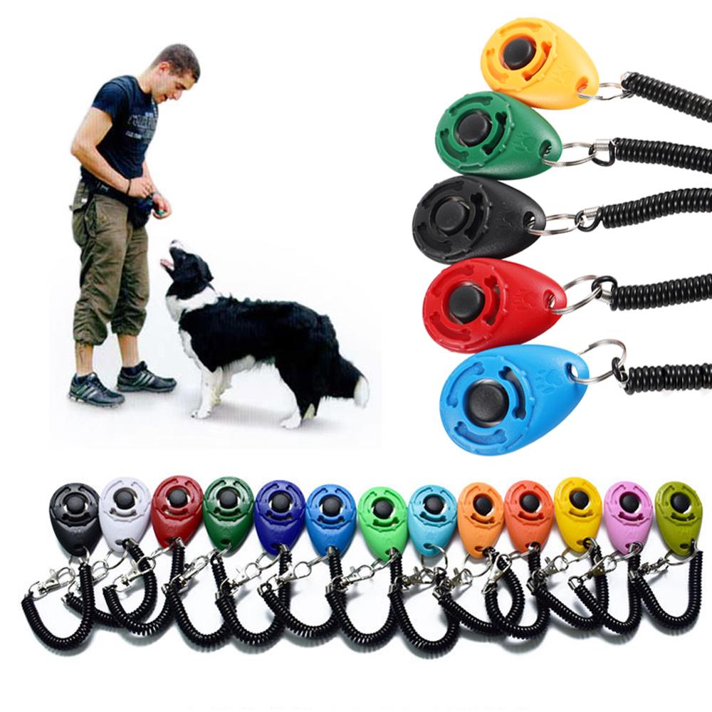 Training Clicker Dog - منتجات الحيوانات الأليفة الحيوانات الأليفة القط