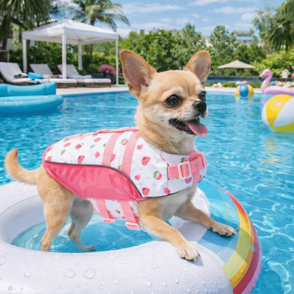 Dog Life Jacket - سترة نجاة قابلة للتعديل للكلاب، عالية