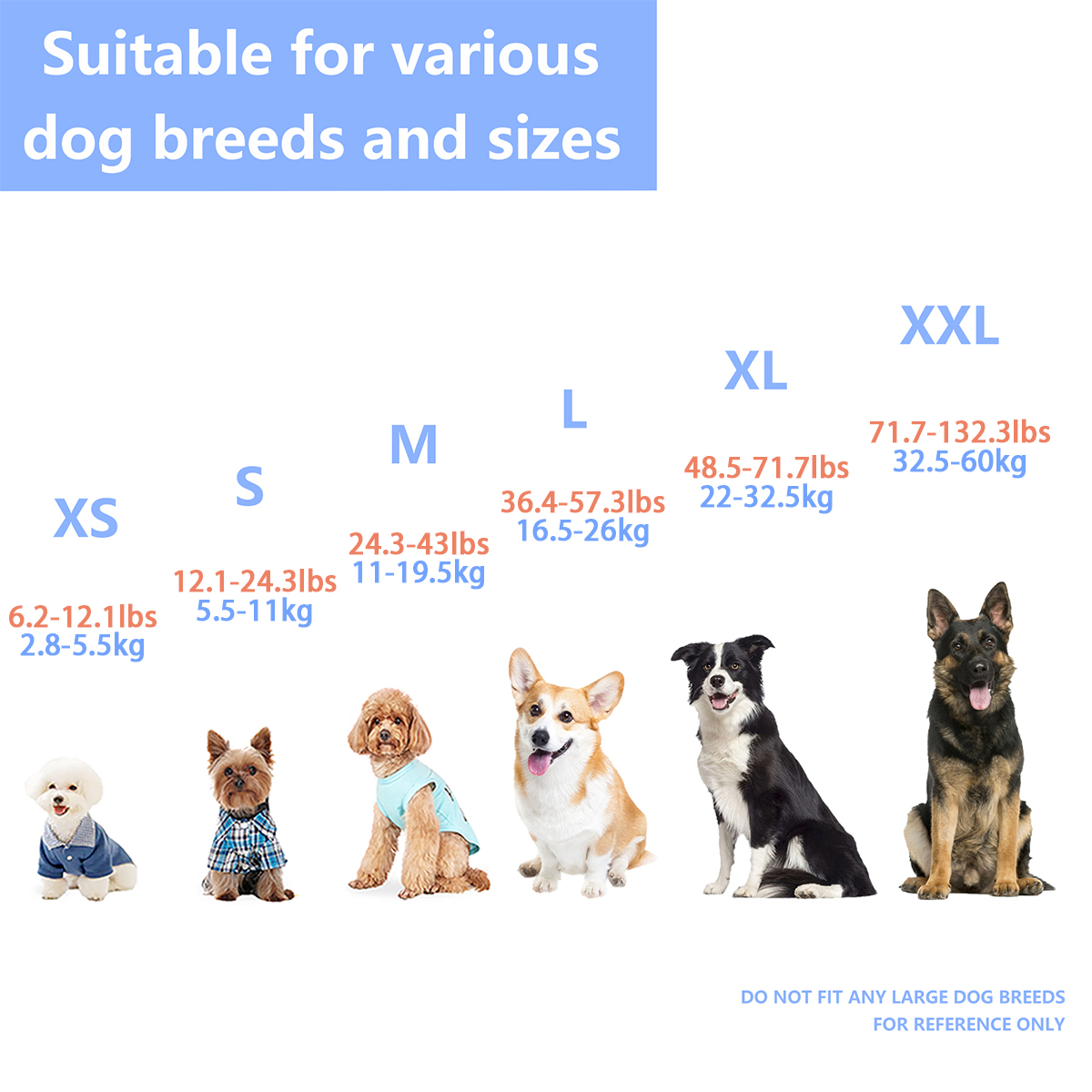 سترة النجاة الكلب للماء مع الم - مراجعة Dog Life Jacket وسعره