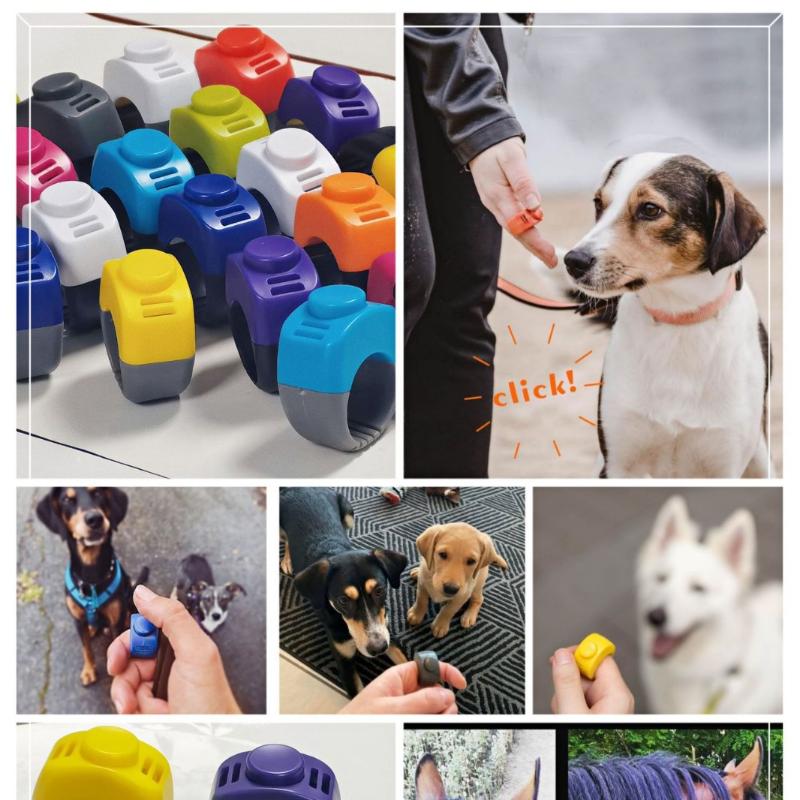 جديد: جهاز تدريب الحيوانات الأ - مراجعة Training Clicker Dog وسعره