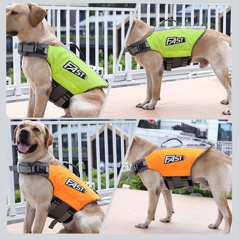سترة سباحة قابلة للتعديل للحيو - مراجعة Dog Life Jacket وسعره