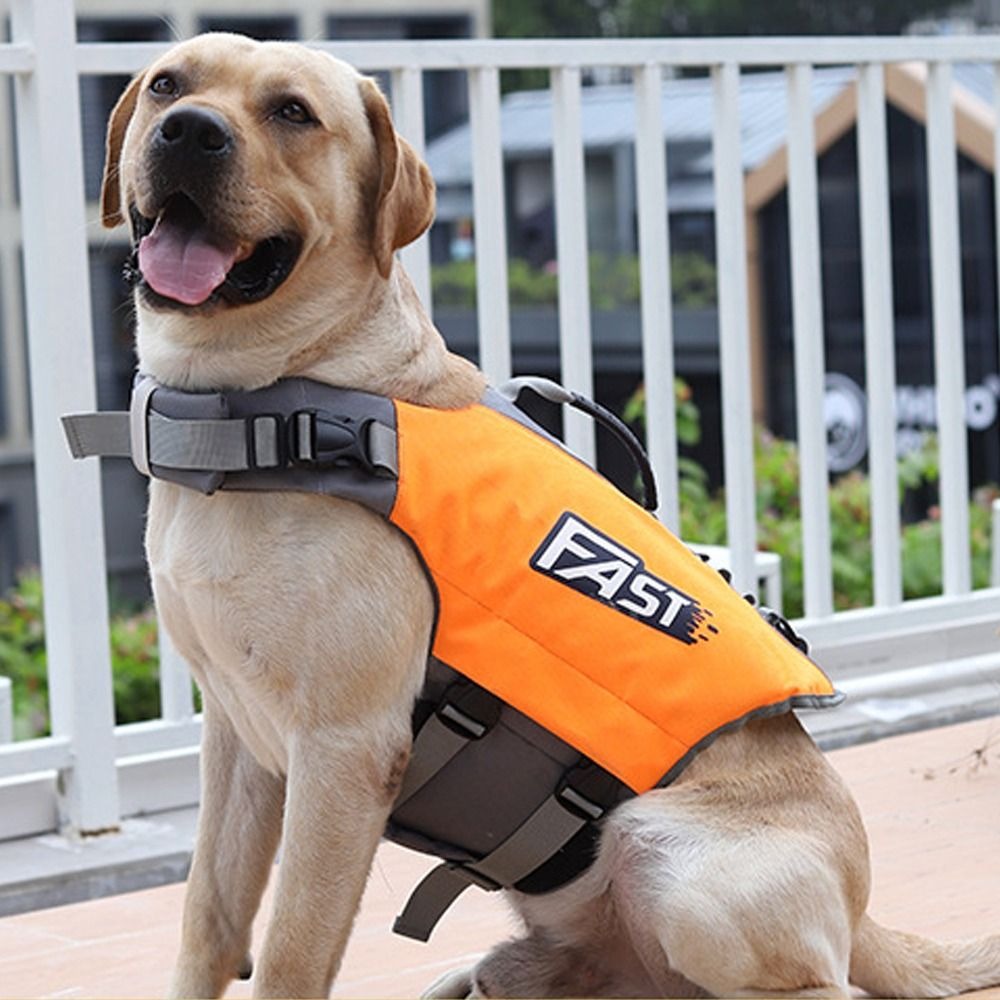 سترة سباحة قابلة للتعديل للحيو - مراجعة Dog Life Jacket وسعره