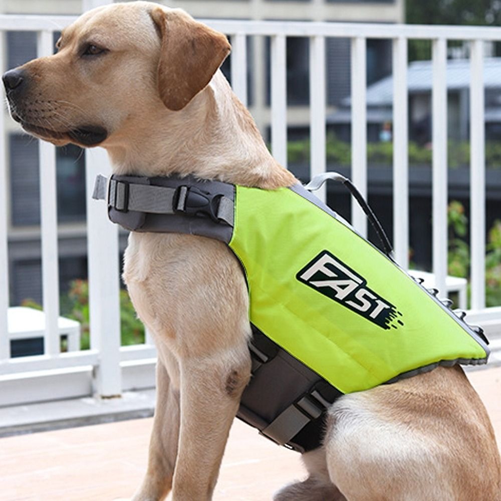 سترة سباحة قابلة للتعديل للحيو - مراجعة Dog Life Jacket وسعره