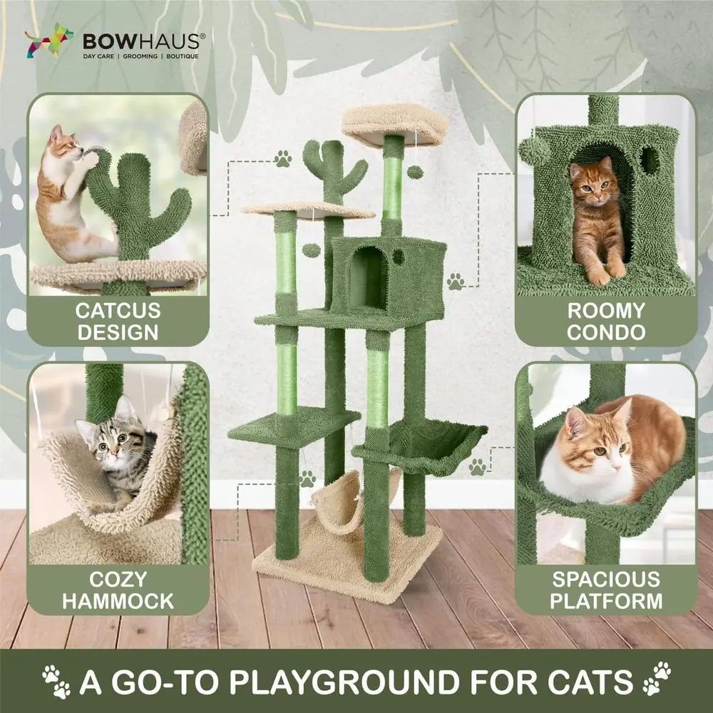 شجرة قطط متعددة المستويات بطول - مراجعة Cat Scratching Post وسعره