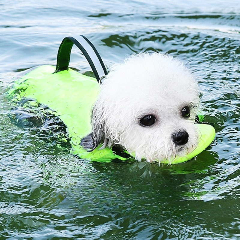 بدلة سباحة للكلاب، ملابس صيفية - مراجعة Dog Life Jacket وسعره