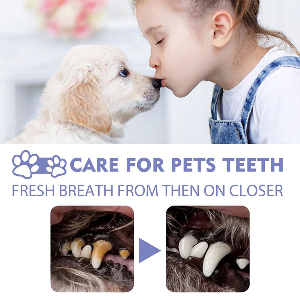 بخاخ تنظيف الفم للحيوانات الأل - مراجعة Pet Supplies App وسعره