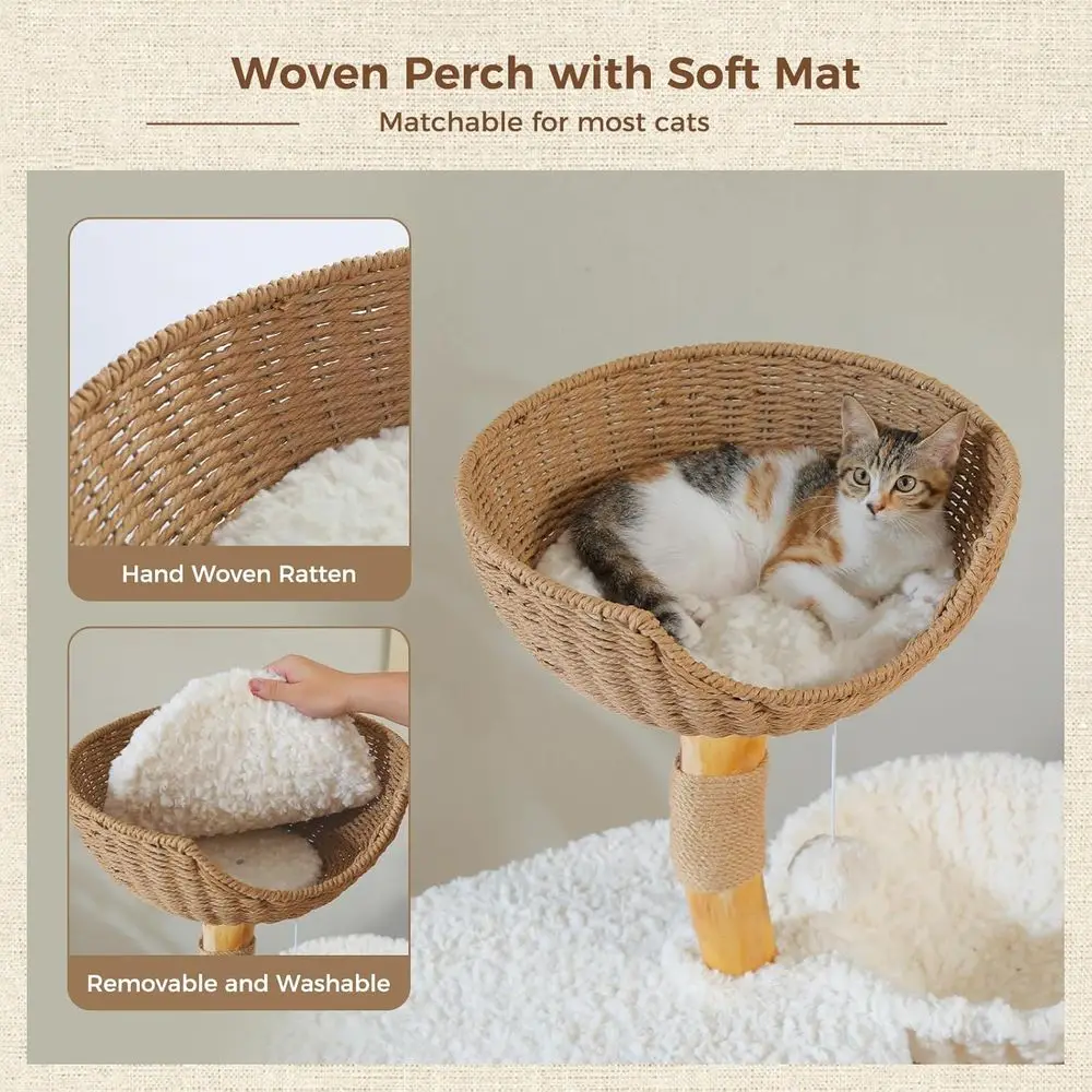 برج قطط خشبي كبير 48.5 بوصة مع - مراجعة Cat Scratching Post وسعره