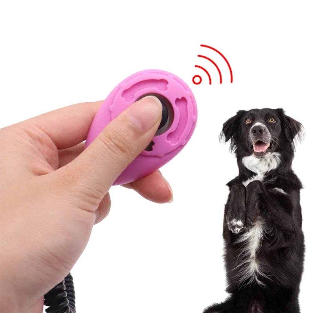 جهاز تدريب الكلاب والقطط والطي - مراجعة Training Clicker Dog وسعره