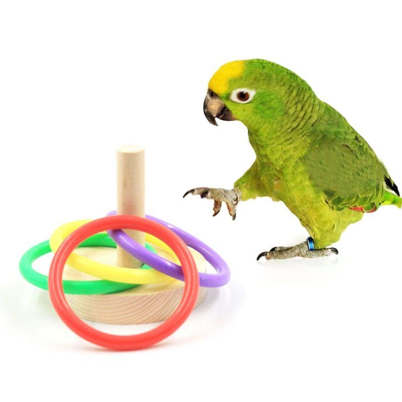 الطيور الببغاء منصة خشبية حلقا - مراجعة Pet Supplies Ringwood وسعره