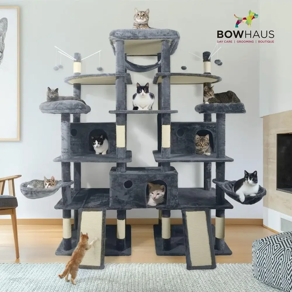 برج قطط بارتفاع 80 بوصة للقطط  - مراجعة Cat Scratching Post وسعره