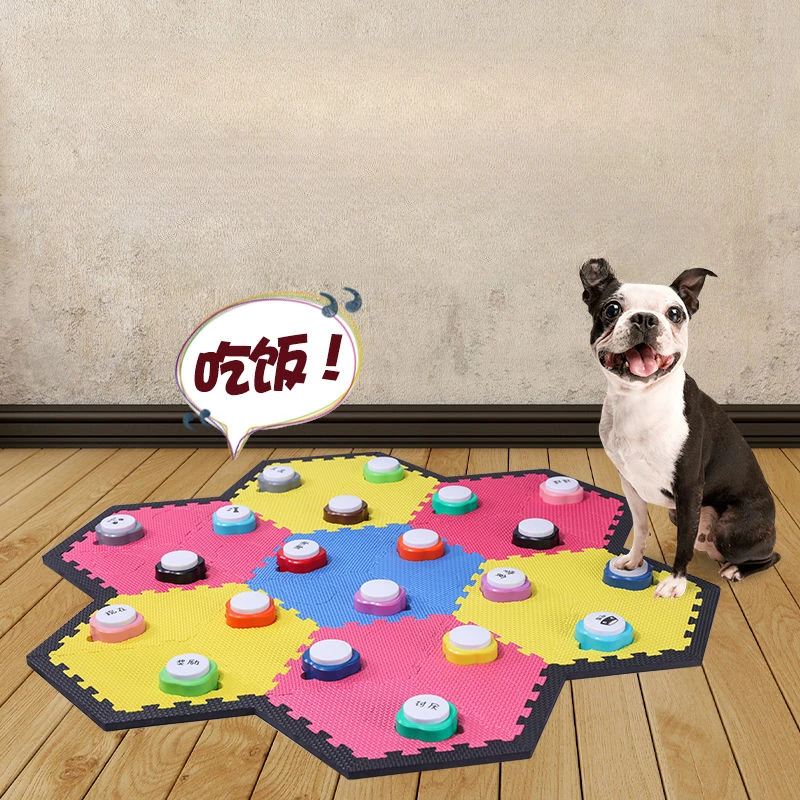 الحيوانات الأليفة الصغيرة للتس - مراجعة Training Clicker Dog وسعره