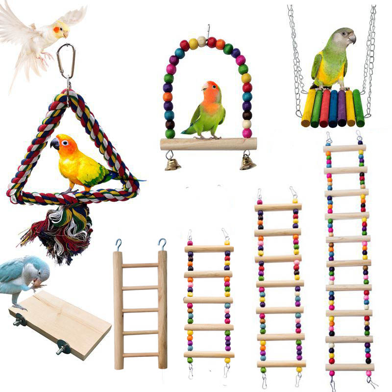 ألعاب الطيور الخشبية الببغاء ا - مراجعة Pet Supplies Ringwood وسعره
