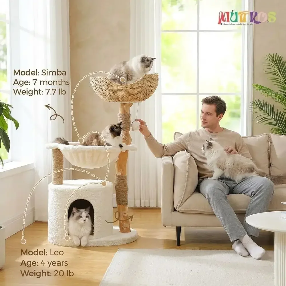 شجرة قطط كبيرة ومريحة مع فروع  - مراجعة Cat Scratching Post وسعره