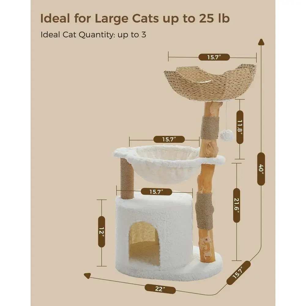 شجرة قطط كبيرة ومريحة مع فروع  - مراجعة Cat Scratching Post وسعره