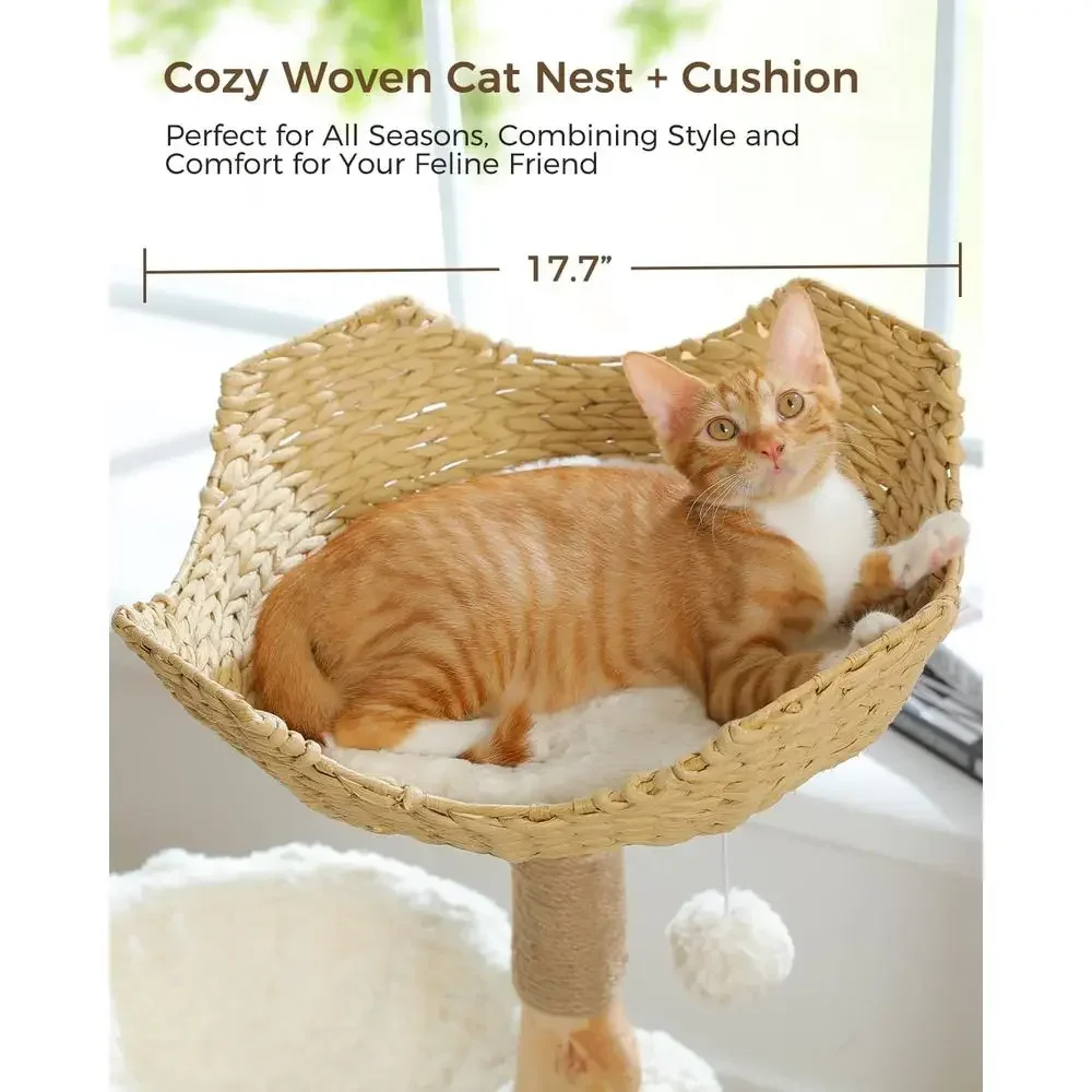 شجرة قطط كبيرة ومريحة مع فروع  - مراجعة Cat Scratching Post وسعره