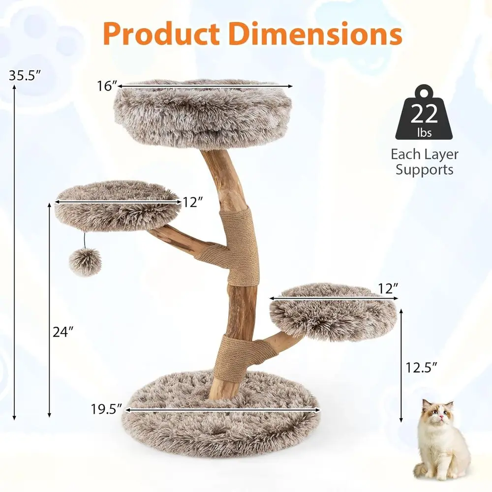 برج قطط خشبي متعدد المستويات م - مراجعة Cat Scratching Post وسعره