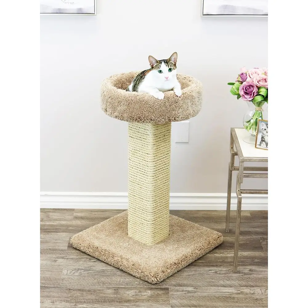 عمود خشبي كبير متين لخدش القطط - مراجعة Cat Scratching Post وسعره