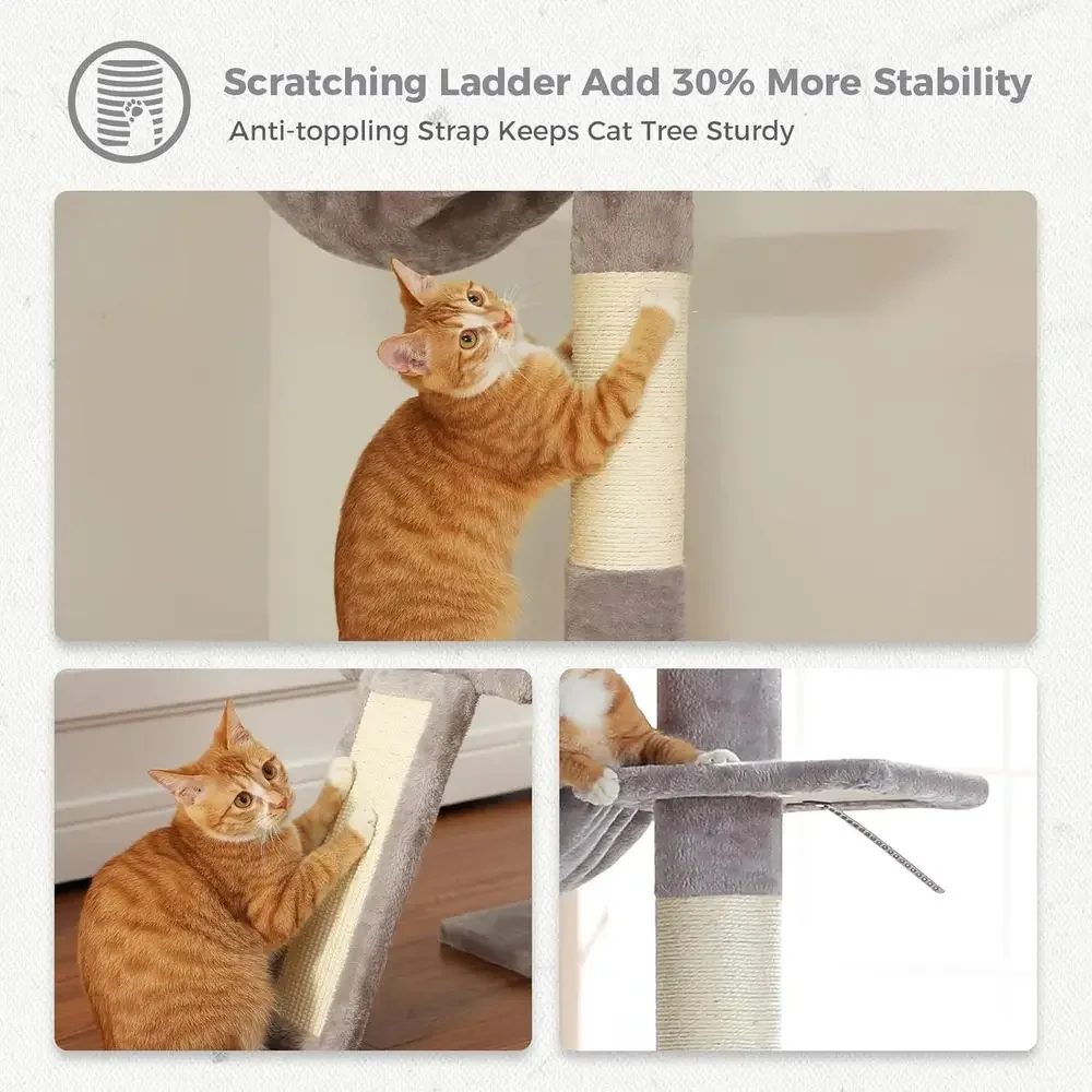 شجرة قطط قابلة للتعديل بـ 5 مس - مراجعة Cat Scratching Post وسعره