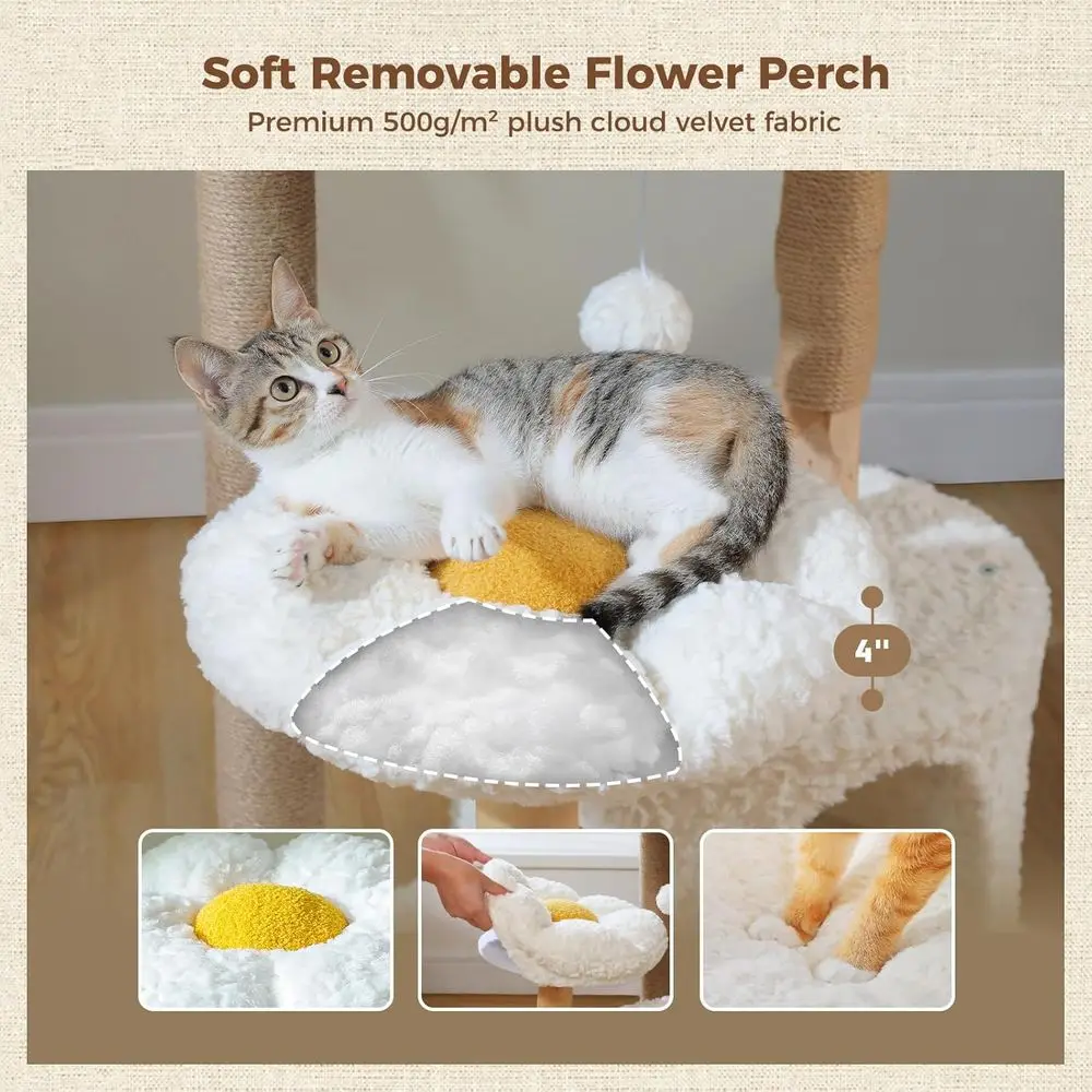 برج قطط خشبي صلب بارتفاع 48.5  - مراجعة Cat Scratching Post وسعره