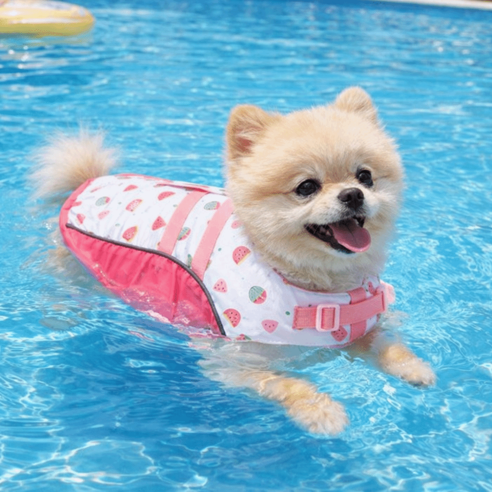 سترة نجاة قابلة للتعديل للكلاب - مراجعة Dog Life Jacket وسعره