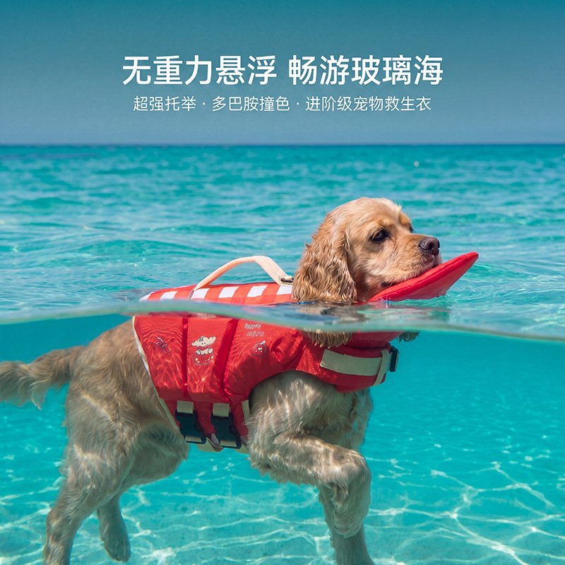 سترة نجاة للكلاب، ملابس كرتوني - مراجعة Dog Life Jacket وسعره