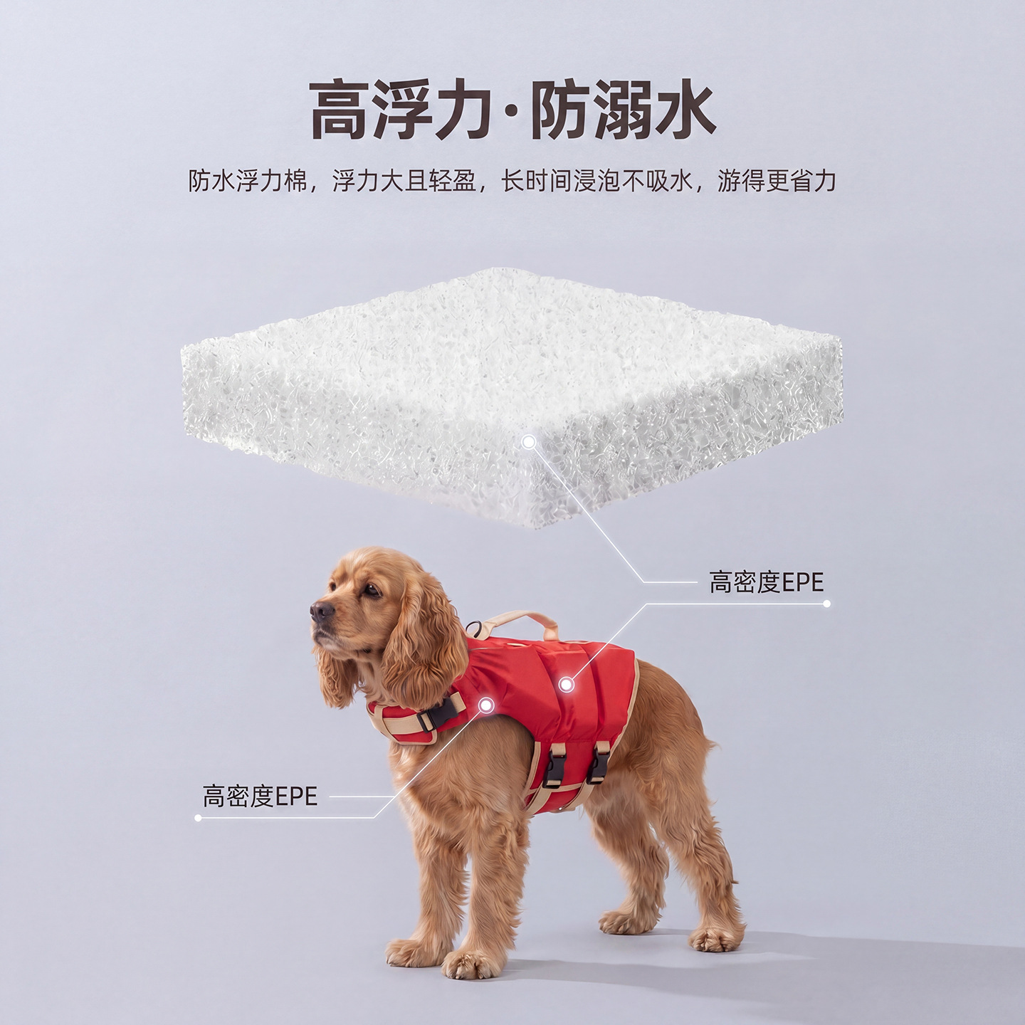 سترة نجاة للكلاب، ملابس كرتوني - مراجعة Dog Life Jacket وسعره