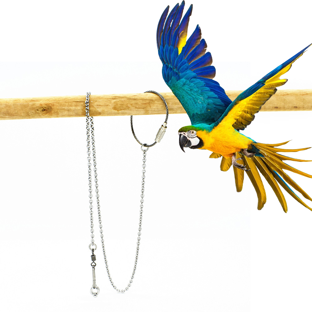 1 قطعة الحيوانات الأليفة الببغ - مراجعة Pet Supplies Ringwood وسعره